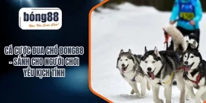 cá cược đua chó