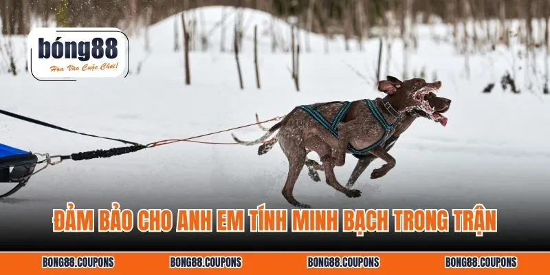 Đảm bảo cho anh em tính minh bạch trong trận