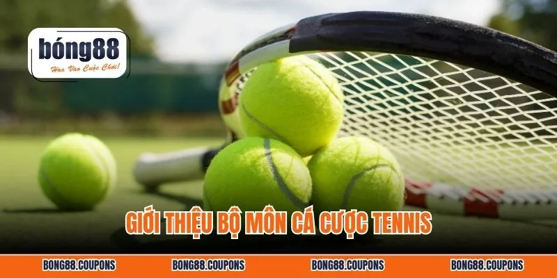 Giới thiệu bộ môn cá cược tennis