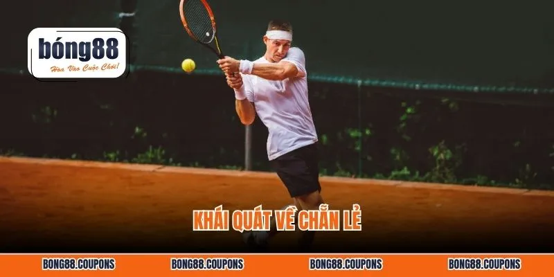 Khái quát về chẵn lẻ