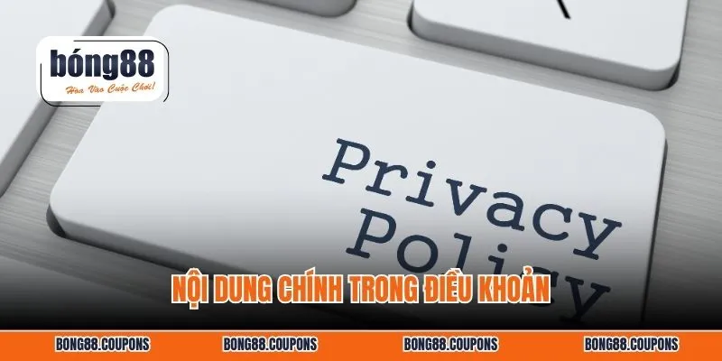 Nội dung chính trong điều khoản