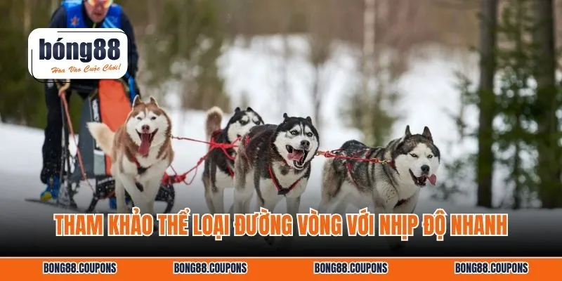 Tham khảo thể loại đường vòng với nhịp độ nhanh