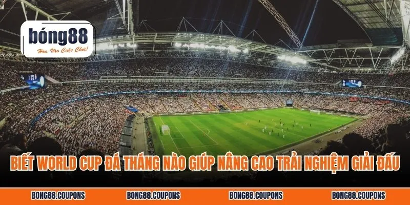 Biết World Cup đá tháng nào giúp nâng cao trải nghiệm giải đấu