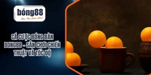 cá cược bóng bàn
