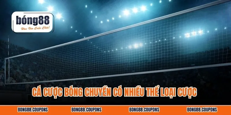 Cá cược bóng chuyền có nhiều thể loại cược