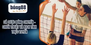 cá cược bóng chuyền