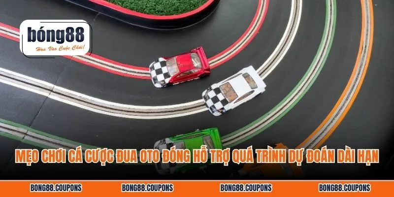 Mẹo chơi cá cược đua oto đóng hỗ trợ quá trình dự đoán dài hạn