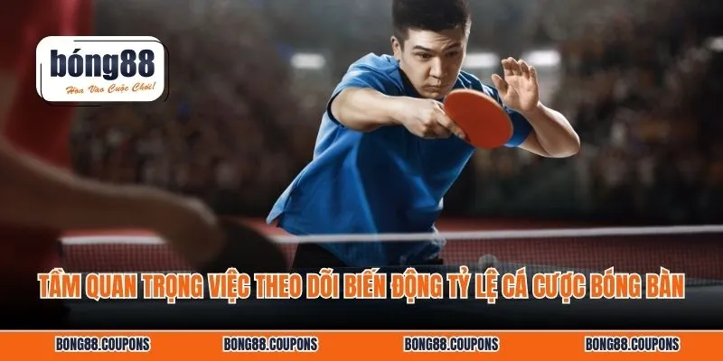 Tầm quan trọng việc theo dõi biến động tỷ lệ cá cược bóng bàn