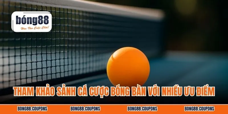 Tham khảo sảnh cá cược bóng bàn với nhiều ưu điểm