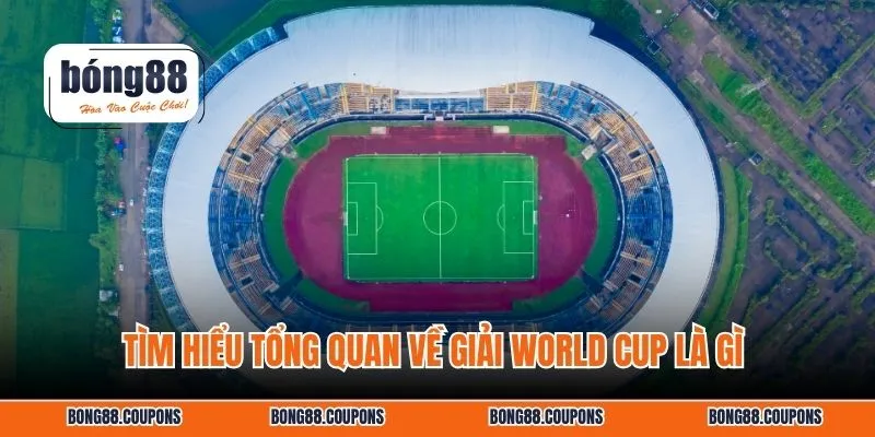 Tìm hiểu tổng quan về giải World Cup là gì 