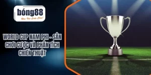 world cup nam phi
